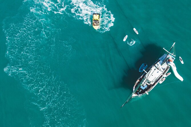 2 Night Whitsunday Islands Cruise on New Horizon From Airlie Beach - Tips for Travelers