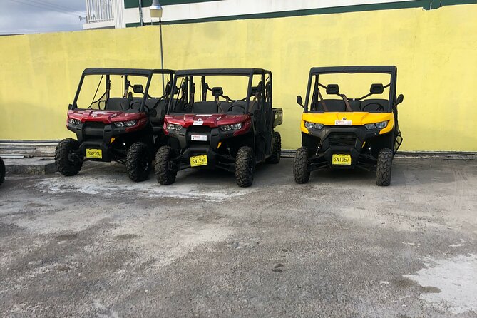 3-Hour Buggy Tour of New Providence (Inclusive of Water & Local Deserts) - Transportation and Pickup Options