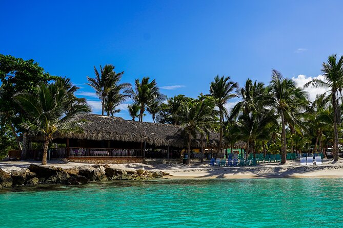 6 Hour Private Saona Island Tour With Snorkeling - Health and Accessibility