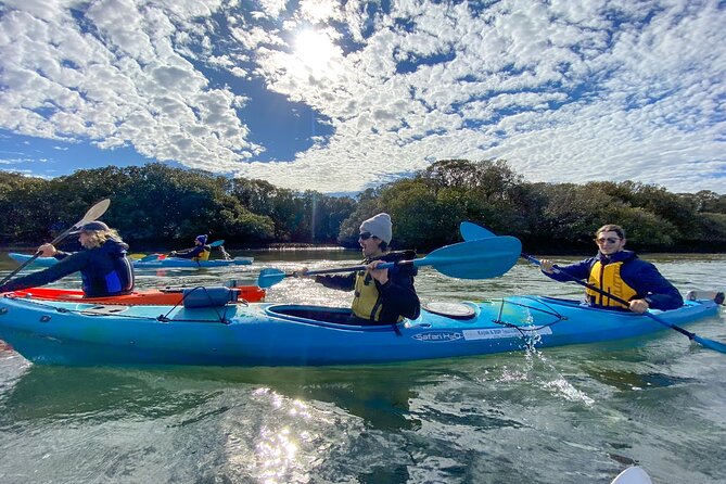 Adelaide Dolphin Sanctuary and Ships Graveyard Kayak Tour - Accessibility Information