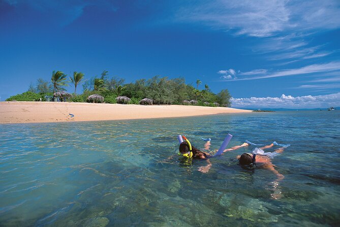 Afternoon Low Isles Snorkelling & Sunset Sail From Port Douglas - Safety Considerations