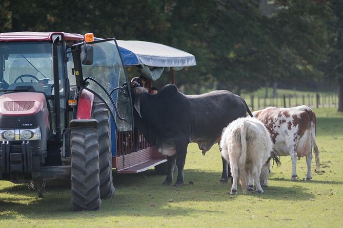 Agrodome Farm Experience Including Farm Show and Farm Tour - Rotorua - Reviews and Ratings