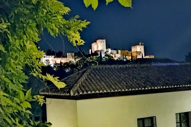 Alhambra Private Tour: Nasrid Palaces and Generalife - Notable Guides