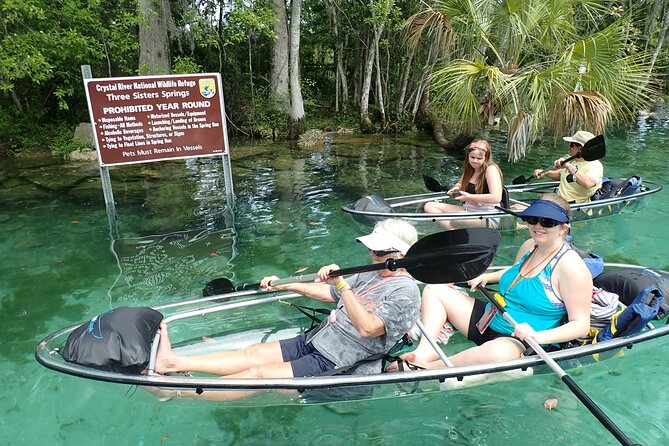 All Clear Kayak Springs & Manatees Tour Of Crystal River - Guest Reviews