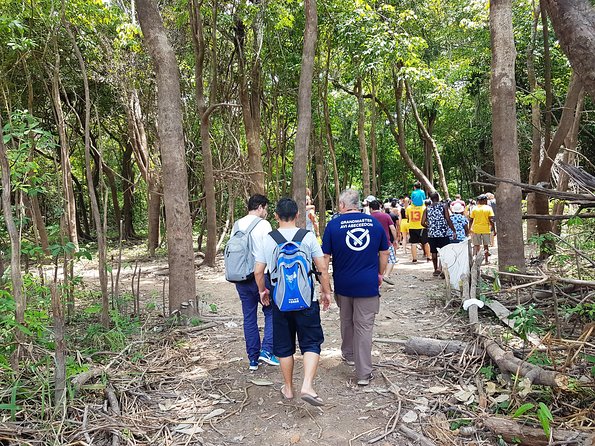 Amazon Negro River Half-Day Expedition Tour - Accessibility and Fitness Requirements