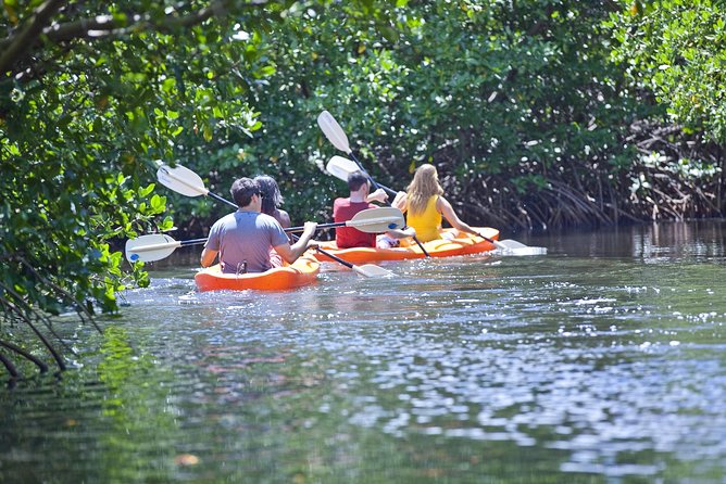 Antigua Zipline & Kayaking Combo From St. Johns - What to Bring