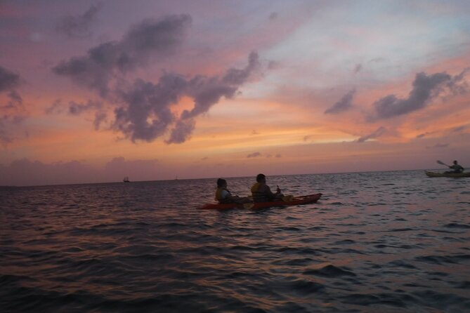 Aruba Night Glass Kayak Tour - Cancellation Policy