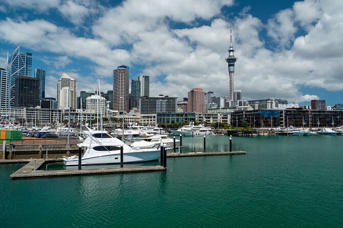 Auckland City Of Sails Half Day Tour - Booking Process