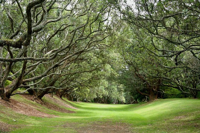 Auckland Coastal Experience - Small Group City & Beach Tour Incl. Wine Tasting - Wine Tasting Experience