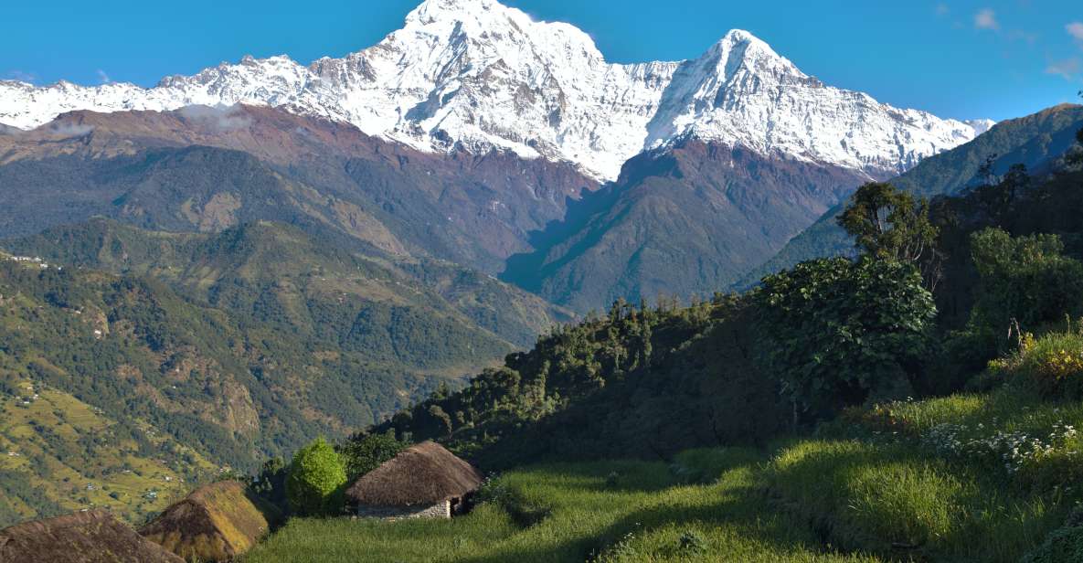 Australian Base Camp Day Hike From Pokhara - Booking Information