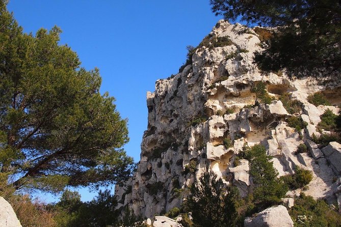 Avignon, Les Baux, St Remy and Arles From Marseille - Discovering Saint-Remy-de-Provence