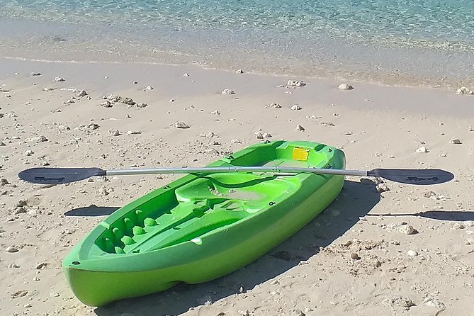 Bahama Kayak Full Day Water Sports Package at Junkanoo Beach - Accessibility Features