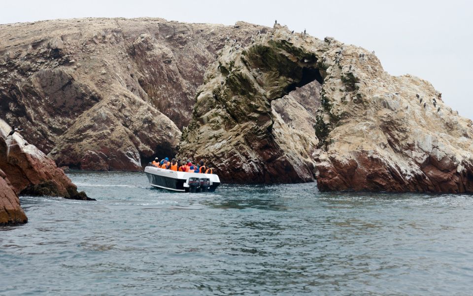 Ballestas Islands and Tambo Colorado From San Martin Port - Booking Process