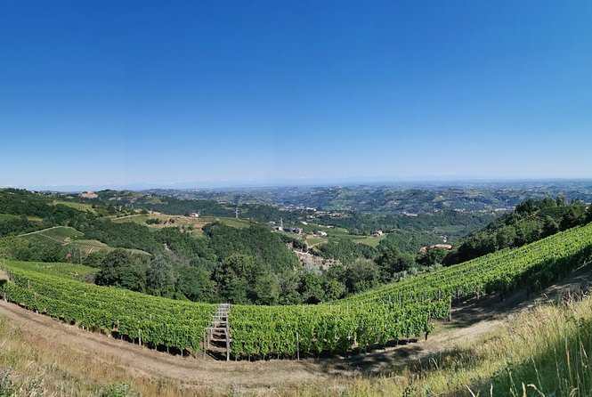 Barolo&Barbaresco Wine Tour With a Local Winemaker - Guest Experiences and Feedback