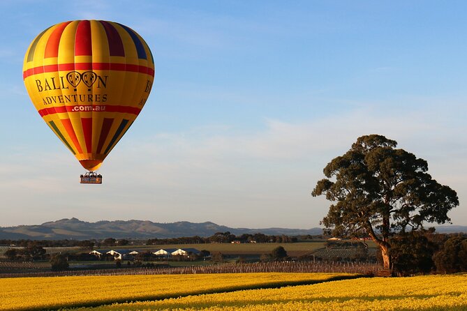 Barossa Valley Hot Air Balloon Ride With Breakfast - Customer Reviews