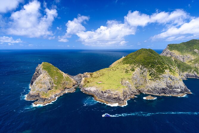 Bay of Islands Discovery Experience From Auckland Incl. Hole in the Rock Cruise - Activities at Otehei Bay