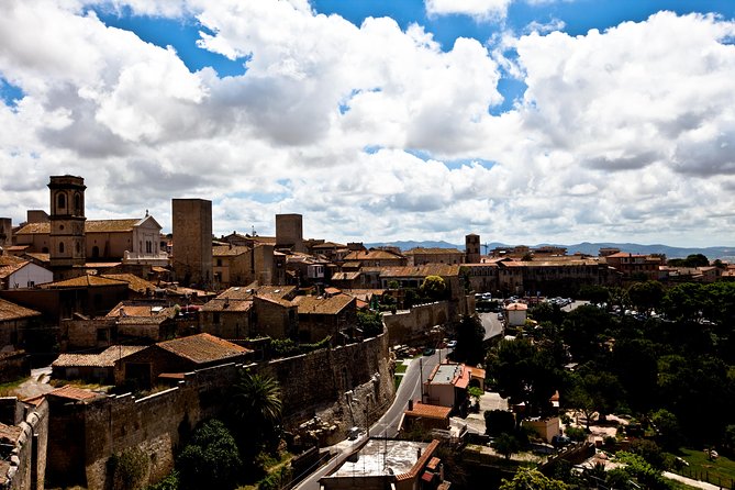 Before the Romans the Etruscan UNESCO Site of Tarquinia From Port - Tour Logistics and Inclusions