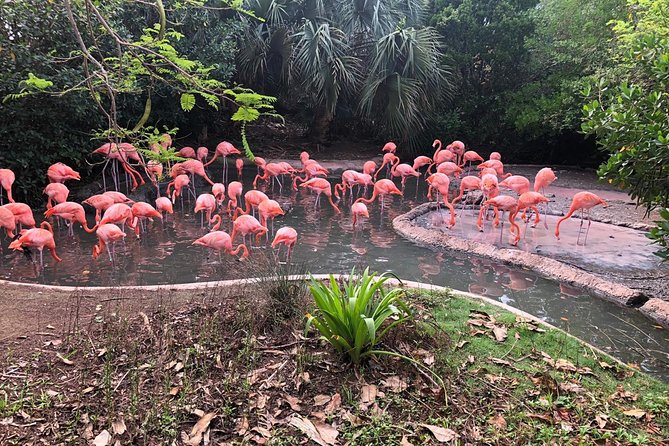 Bermuda Aquarium and Crystal Caves Admission - Feedback on Tour Value