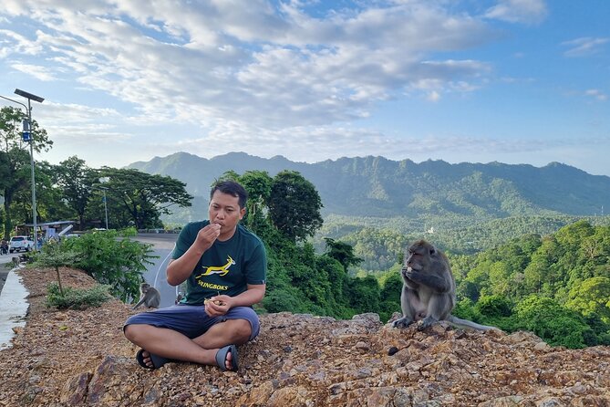 Best Lombok Rice Terrace Walking Tour With Waterfall & Monkey - Reviews and Ratings