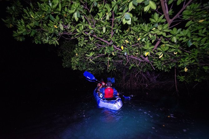 Bioluminescent Bay Kayak Adventure Tour From San Juan - Tips for a Great Adventure