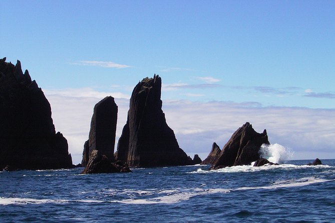 Blasket Island Eco Tour. - Accessibility Features