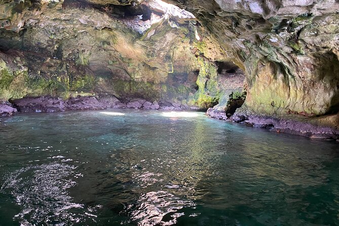 Boat Excursion to Polignano a Mare Between Caves and Coves - Participation Requirements