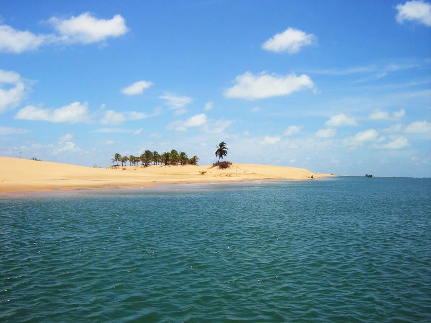 Boat Ride: São Francisco River, the Largest in Brazil - Private and Small Group Tours