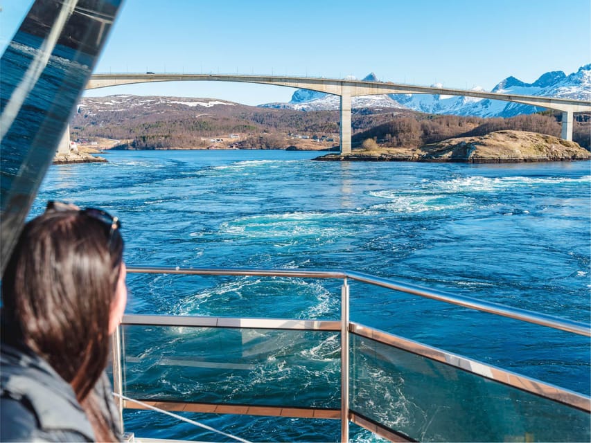 Bodø: Arctic Light Cruise - Meeting Point