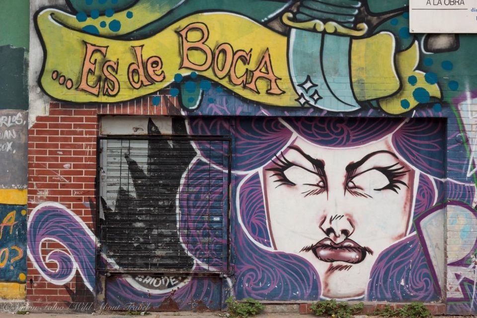 Buenos Aires Urban Art and Wine Tour - Cultural Experience