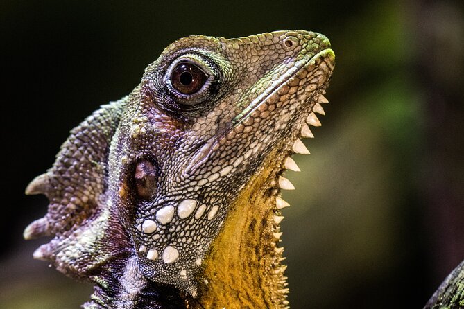 Cairns Aquarium by Twilight Tour and 3-Course Dinner - Visitor Reviews and Feedback