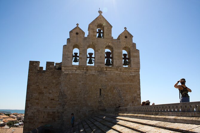 Camargue Small-Group Day Trip From Avignon - Customer Reviews