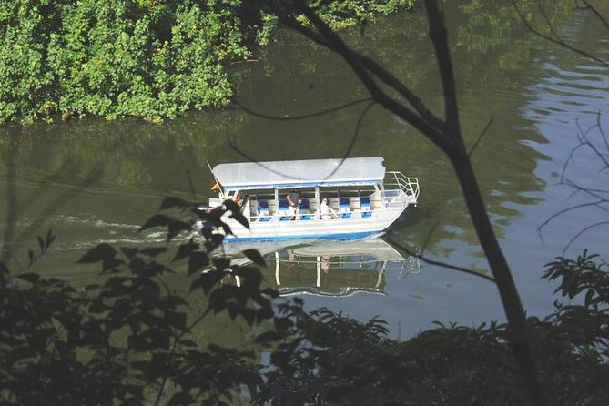 Cape Tribulation Day Tour From Cairns - Customer Reviews and Feedback