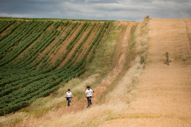 Castiglion Fiorentino - Ebike Tour in the Tuscan Countryside - Customer Experiences