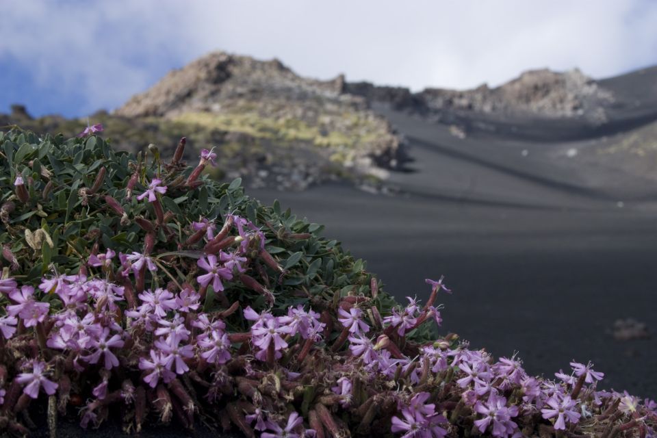 Catania: Etna Morning or Sunset Trek With Lava Tunnel & Gear - Participant Requirements