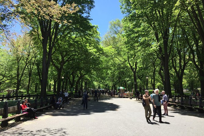 Central Park Walking Tour - Traveler Reviews and Feedback