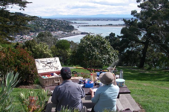 Christchurch Coastal Hiking Tour - Nearby Attractions