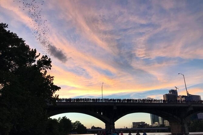 Congress Avenue Bat Bridge Kayak Tour in Austin - Customer Experiences and Reviews