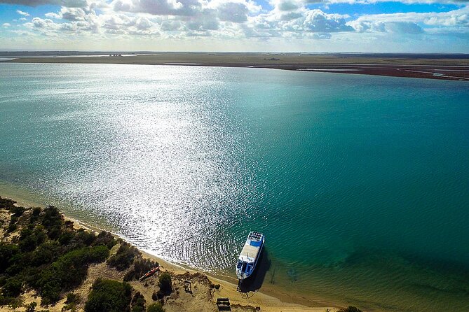 Coorong 3.5-Hour Discovery Cruise - Important Booking Information