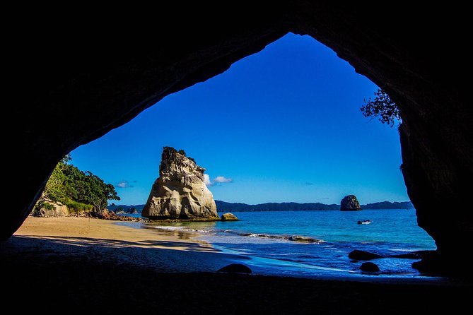 Coromandel Peninsula Discovery - Private Tour From Auckland - Cancellation Policy