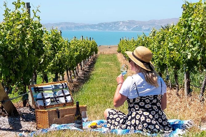 CRUISE SHIP DAY Hop on Hop off Yealands & Marlborough Tour - Customer Reviews Overview