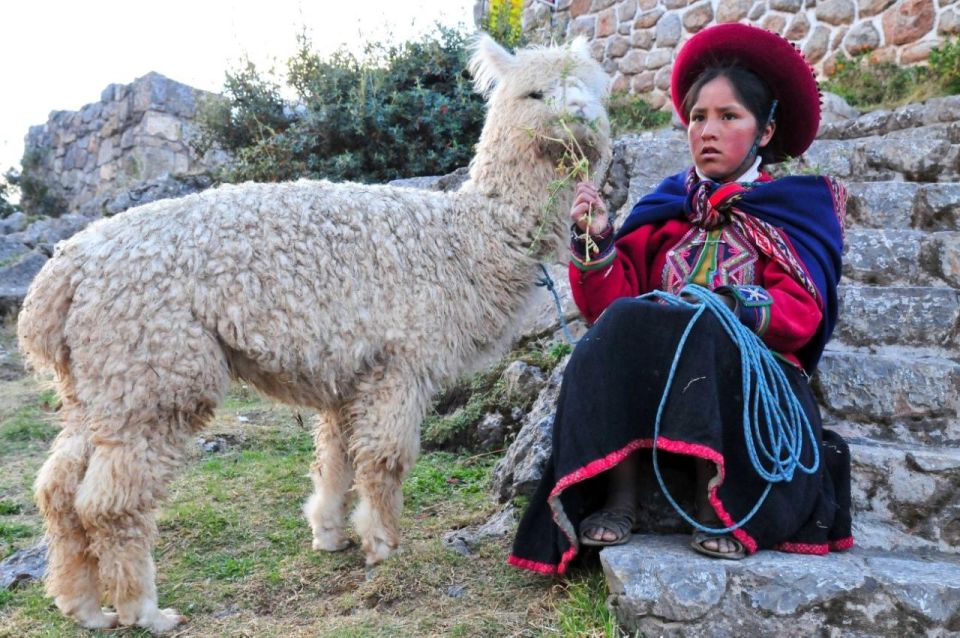 Cusco: Alpaca Therapy + Healing With Clay - Lunch - Private - Frequently Asked Questions