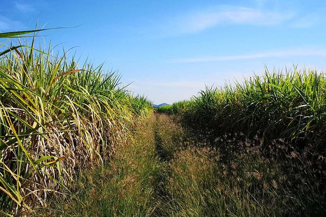 Cycling in Rural Kanchanaburi Area - Additional Tour Activities Available