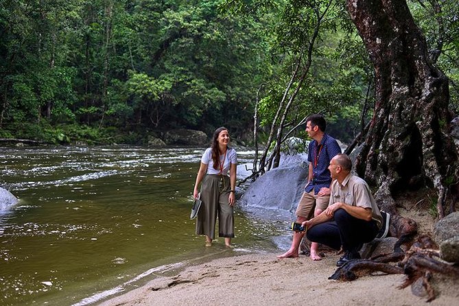 Daintree Rainforest and Cape Tribulation Day Tour From Cairns - Reviews and Experiences