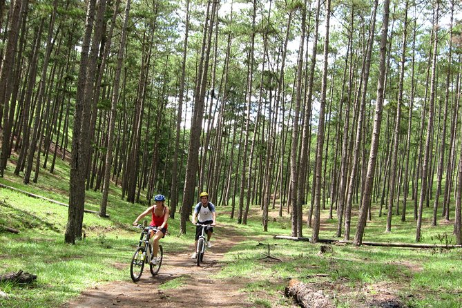 Dalat Mountain Biking Tours - Booking Process and Options
