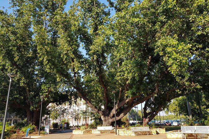 Darwin Heritage Walk - What to Bring