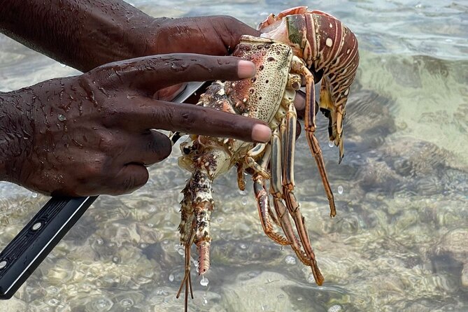 Day Trip to Negril From Montego Bay/Boat Ride to Booby Cay Island/Lobster Lunch - Enjoying Lobster Lunch