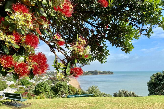 Devonport Explorer Tour Volcanoes, Heritage and Cultural Sites - Local Guide Insights