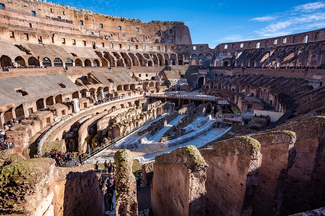 Discover Rome: Guided Tour of the Colosseum, Forum, Palatine Hill - Customer Reviews