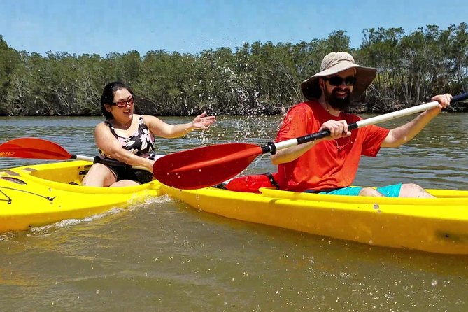 Dolphin & Manatee Kayaking Tour in Orlando Area - Tips for Your Tour