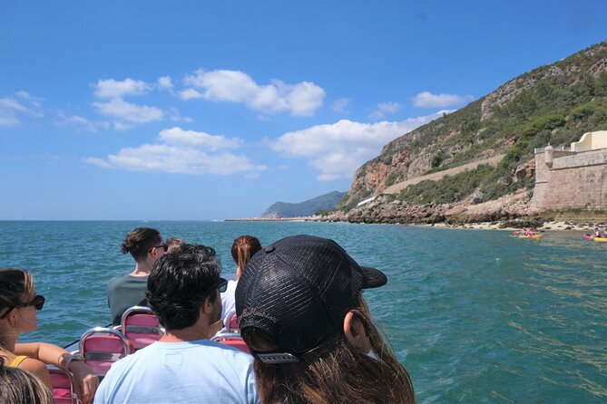 Dolphin Watching in Setúbal - Customer Reviews